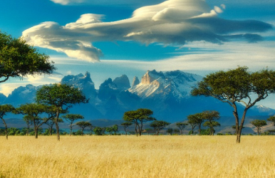 Write Your Blog Post Title Here: A Simple Guide to Crafting Compelling Headlines